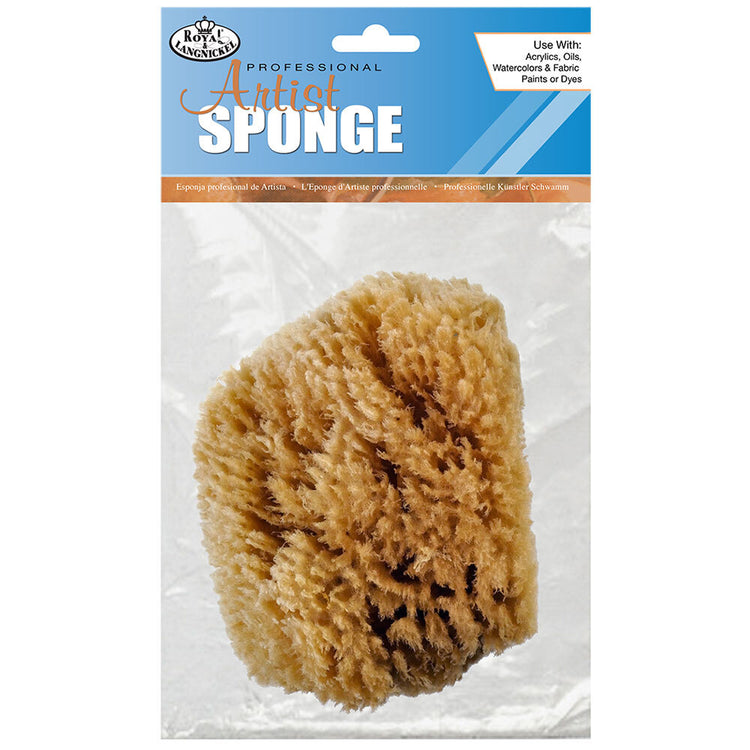 Artist Sea Sponge
