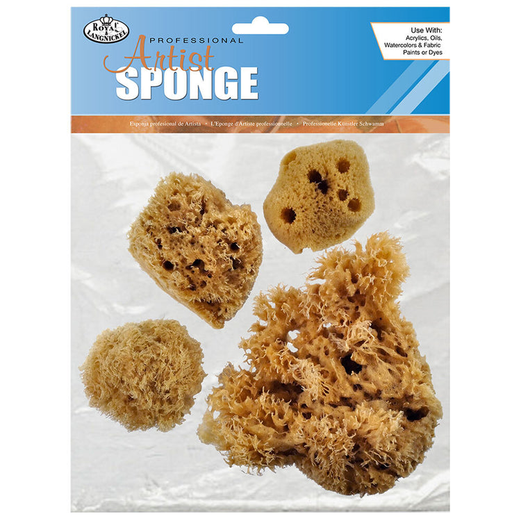 Artist Sea Sponge
