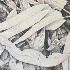 Graphite Pencil - Saturday 8 November