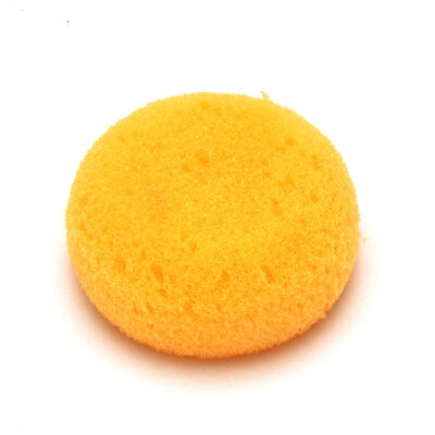 Pottery Hydra Sponge