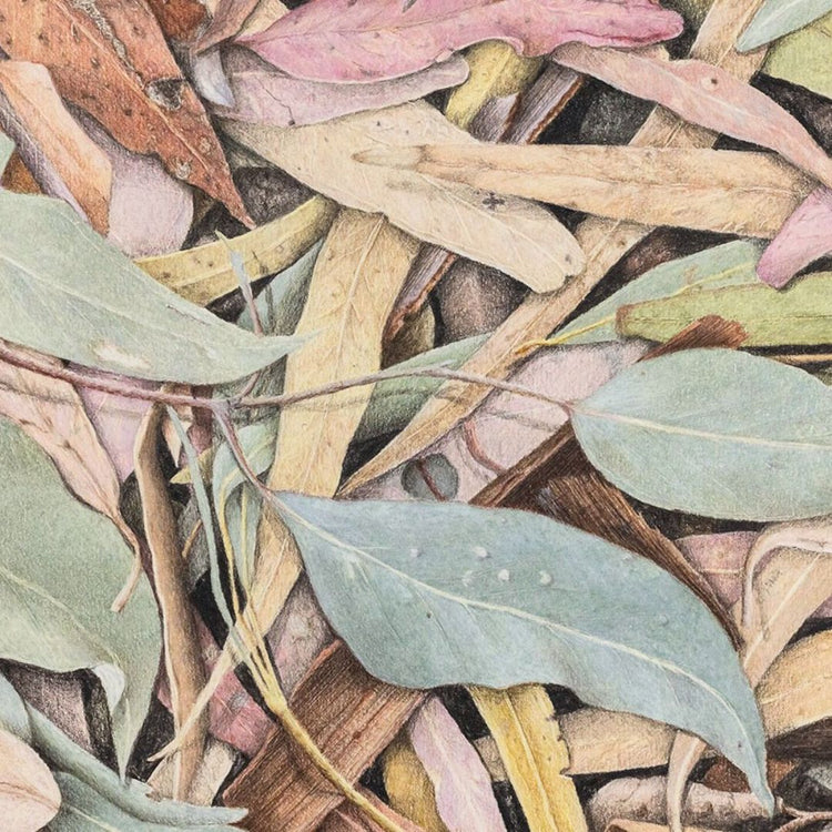 Coloured Pencil - Saturday 14th March