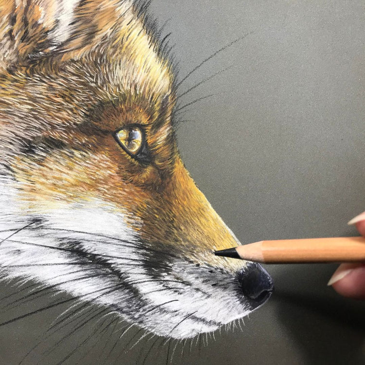 Pastel Workshop - Sunday 22 June