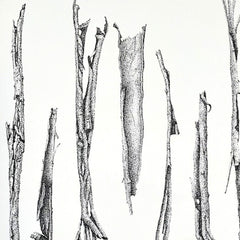 Stippling - Saturday 29 November