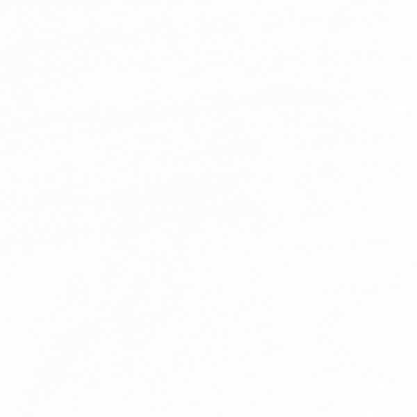 Conte Carre Crayons - Individual Pastels