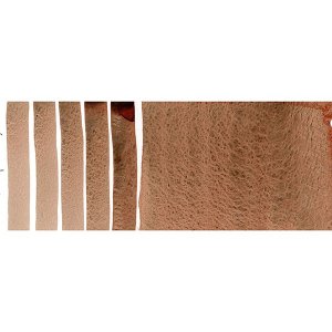 Daniel Smith Watercolours - 15ml Tubes - Stand 2 of 3