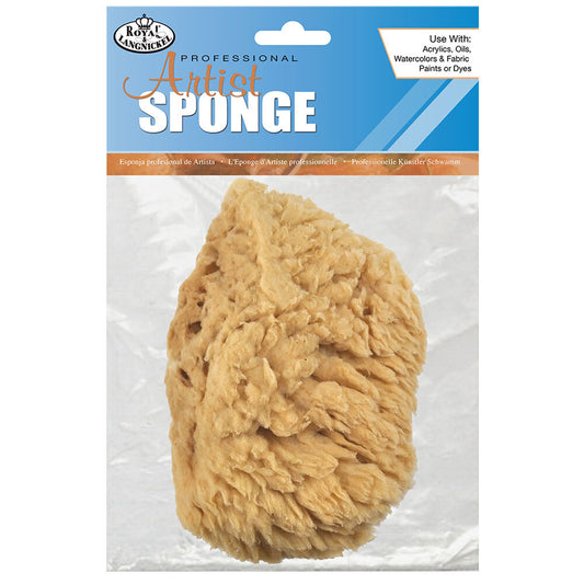 Artist Sea Sponge