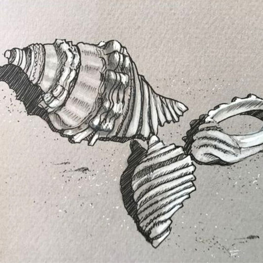 Sketchbook 101 - Sat 26 & Sun 27 September