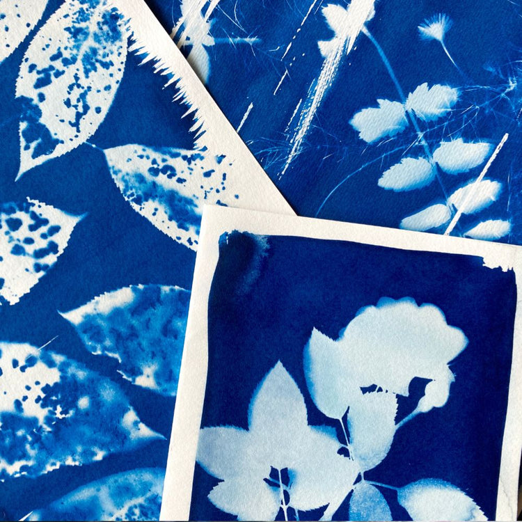 Cyanotype Printing - Saturday 15 March