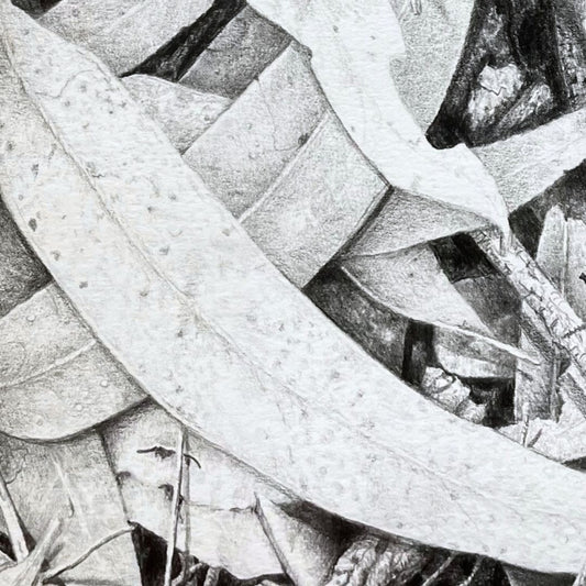 Graphite Pencil - Saturday 11th April