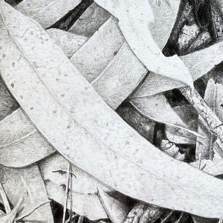 Graphite Pencil - Saturday 11th April