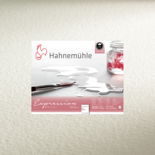 Hahnemuhle Expression Watercolour Paper 300gsm CP 500 x 650mm - Single Sheets