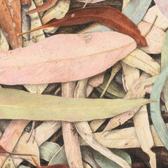 Coloured Pencil - Saturday 12 September