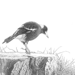 Stippling - Saturday 10 October