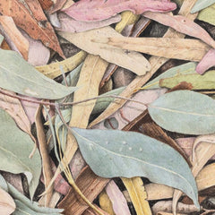 Coloured Pencil - Saturday 14th March