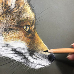 Pastel Workshop - Sunday 22 June