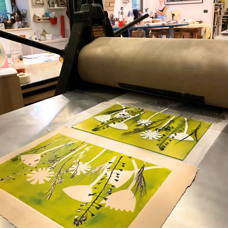 From Still Life to Print - Mon 10 to Fri 14 August