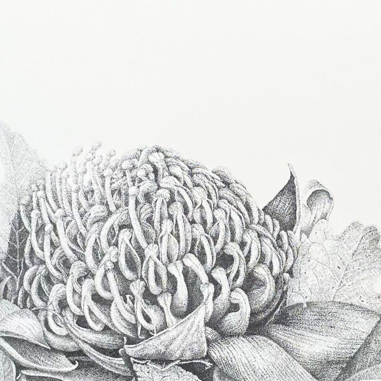 Stippling - Saturday 16th May