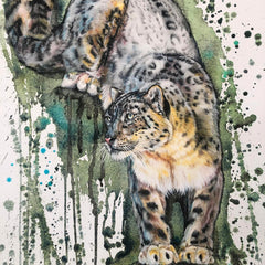 Watercolour Workshop - Saturday 21 June 2025