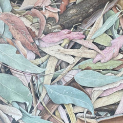 Coloured Pencil - Saturday 18 October