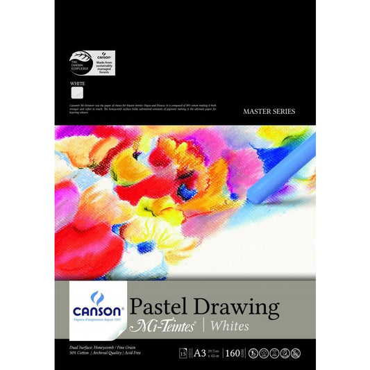 Canson Mi-Teintes Pastel Drawing Pad - Assorted Sizes